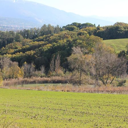 Agriturismo La Ginestrella Civitella D'Arna Dış mekan fotoğraf