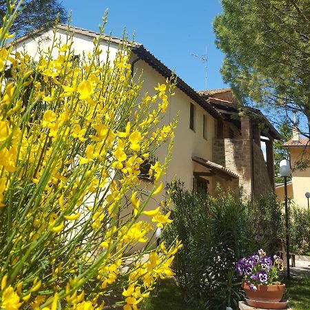 Agriturismo La Ginestrella Civitella D'Arna Dış mekan fotoğraf