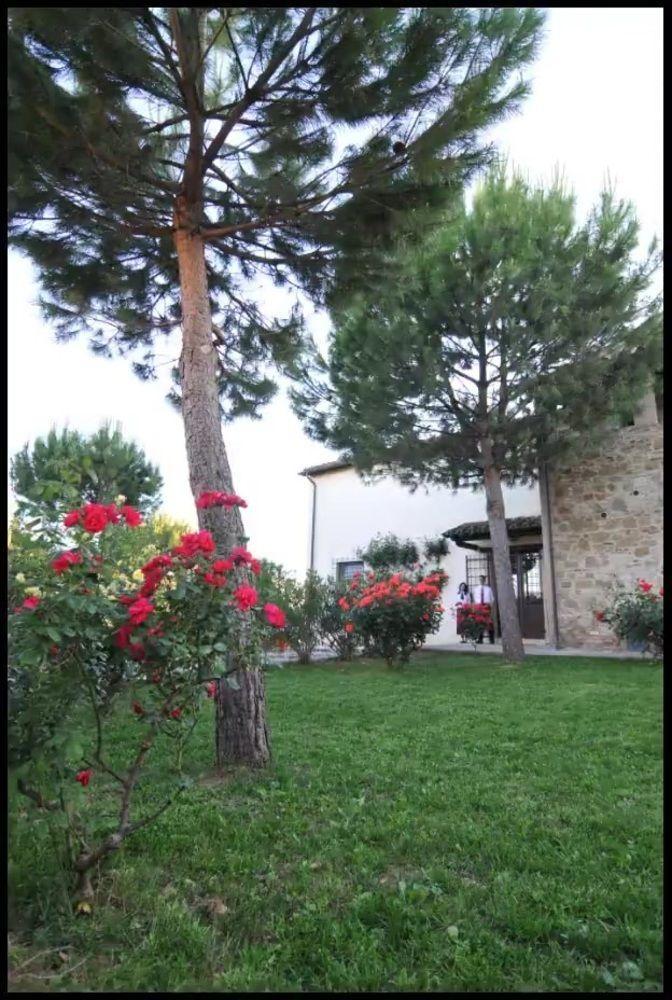 Agriturismo La Ginestrella Civitella D'Arna Dış mekan fotoğraf