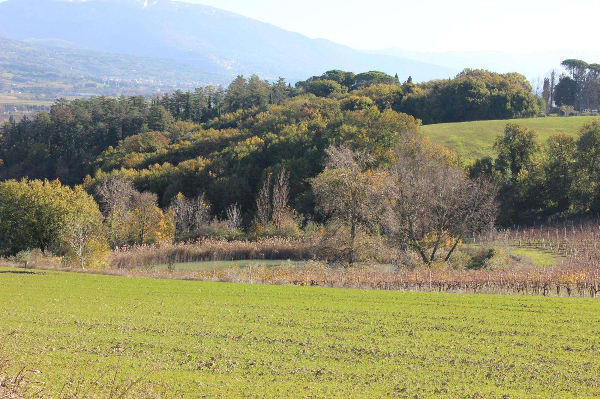 Agriturismo La Ginestrella Civitella D'Arna Dış mekan fotoğraf