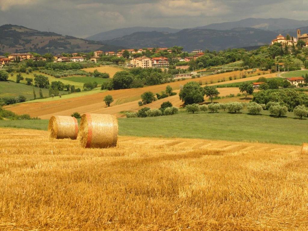 Agriturismo La Ginestrella Civitella D'Arna Dış mekan fotoğraf