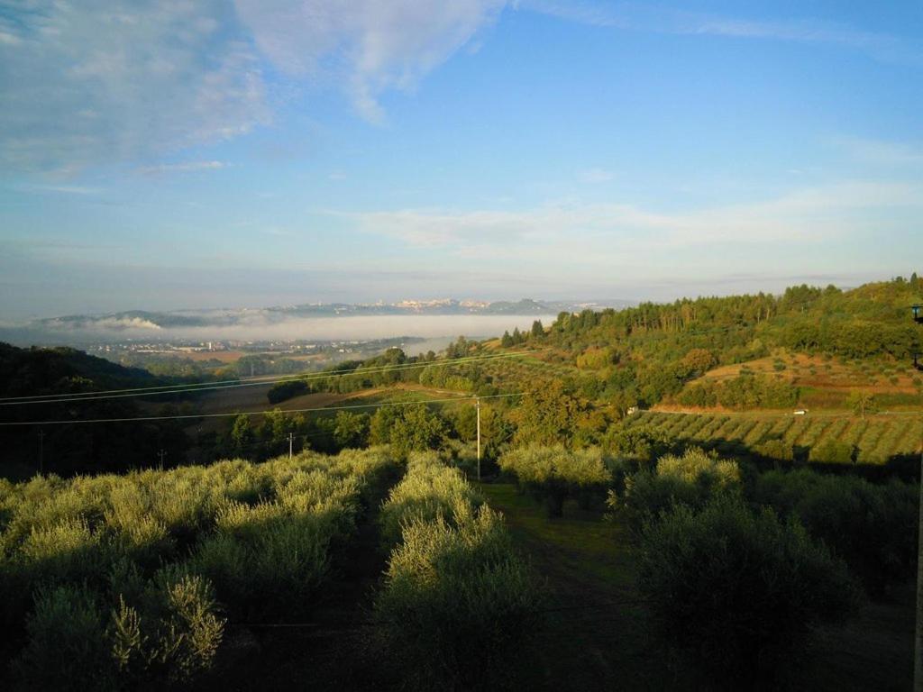 Agriturismo La Ginestrella Civitella D'Arna Dış mekan fotoğraf