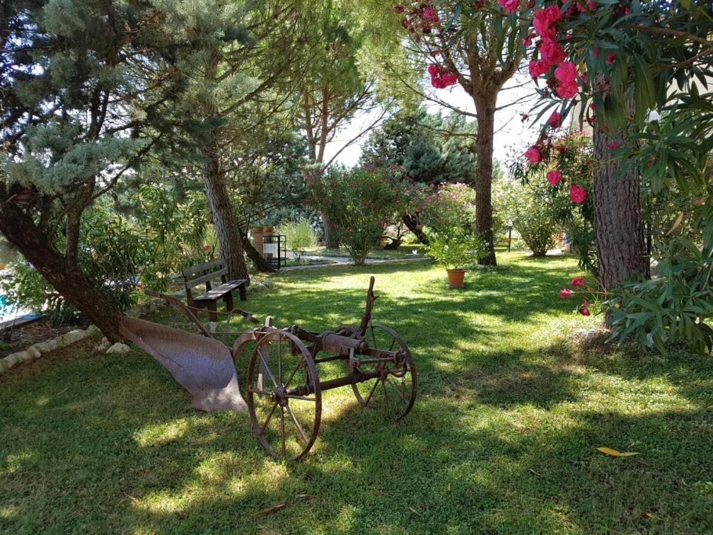 Agriturismo La Ginestrella Civitella D'Arna Dış mekan fotoğraf
